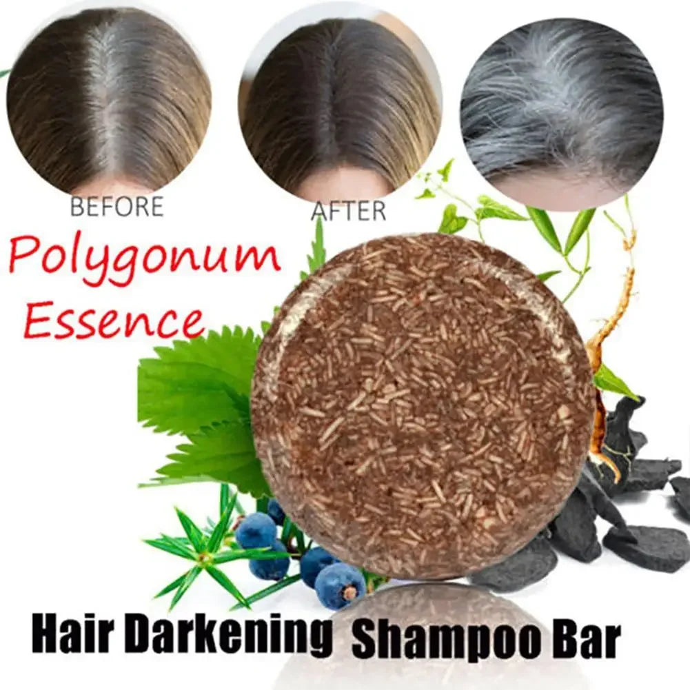 10G Organic Polygonum Essence Hair Darkening Shampoo | Grace Galeria